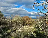 Terrain, 52 200 m²