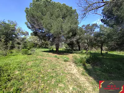 Terrain, 7 855 m²
