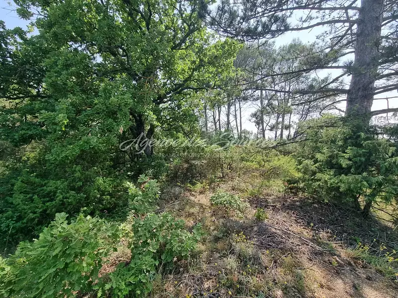Terrain, 2 634 m²