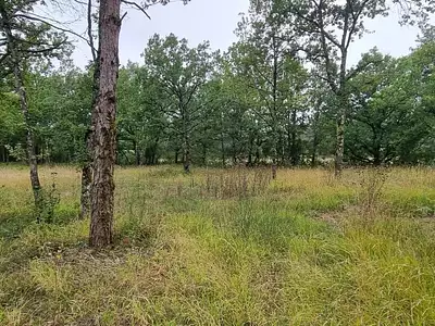 Terrain, 2 954 m²