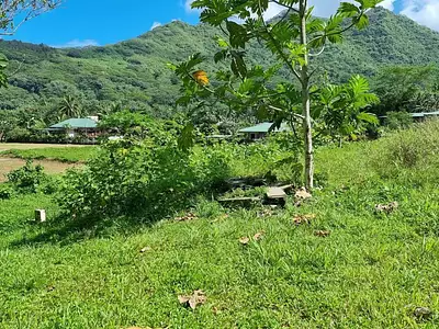 Terrain, 895 m²