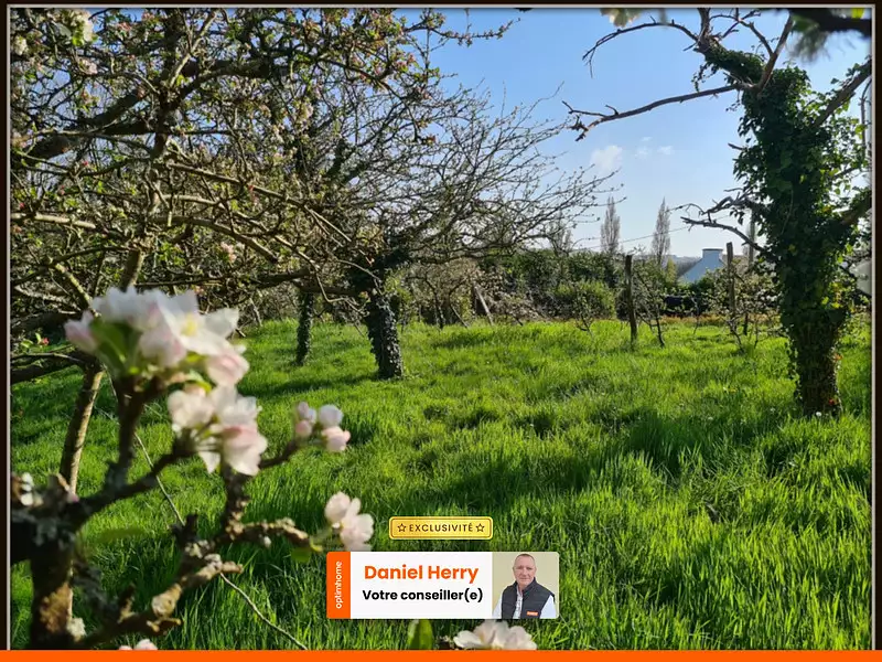 Terrain, 3 650 m²