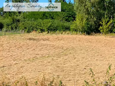 Terrain, 2 221 m²