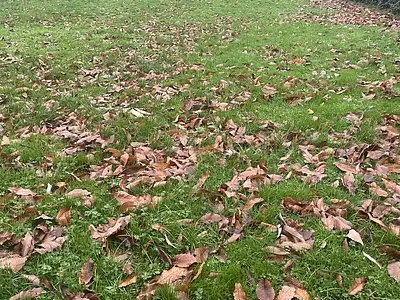 Terrain, 1 340 m²