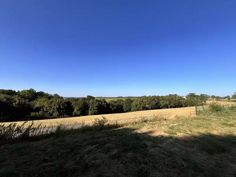 Terrain, 2 385 m²