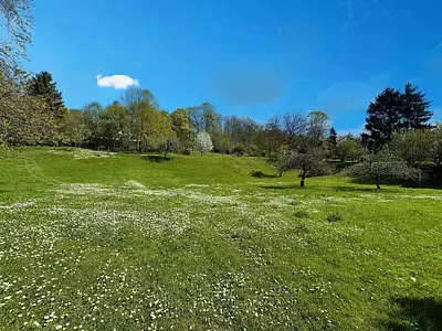 Terrain, 4 500 m²