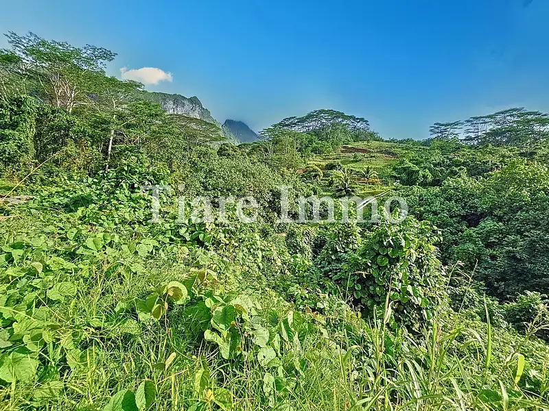 Terrain, 1 900 m²
