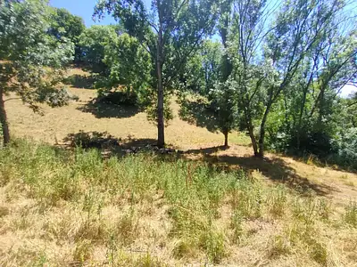 Terrain, 9 742 m²