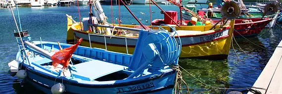 ACF immobilier conseils