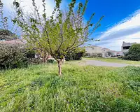 Terrain, 368 m²