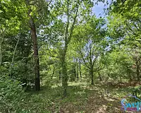 Terrain, 1 600 m²