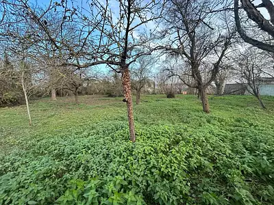 Terrain, 800 m²