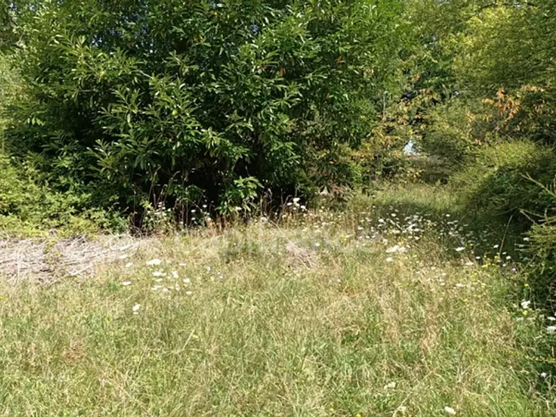 Terrain, 836 m²