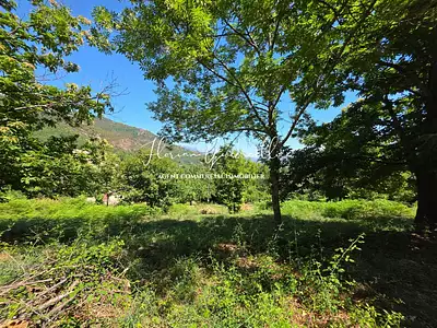 Terrain