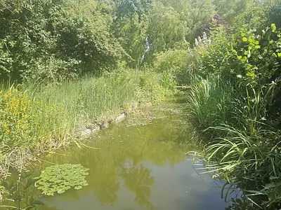 Terrain, 2 620 m²