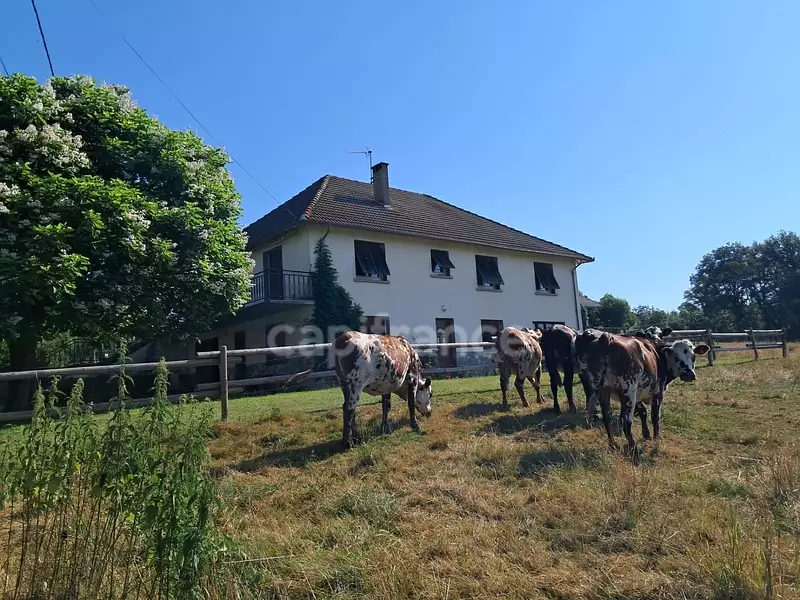 Maison, 174 m²