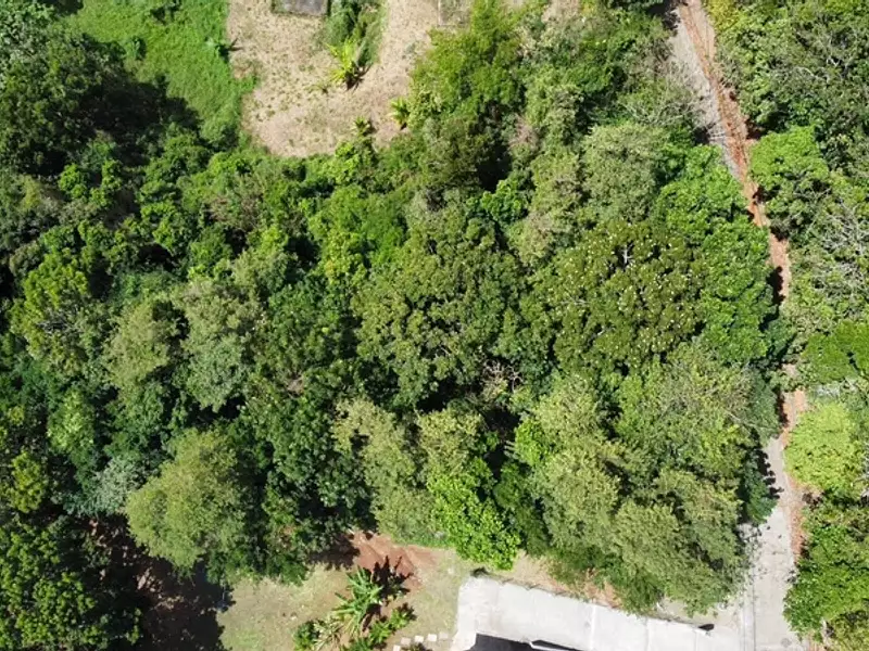 Terrain, 1 981 m²