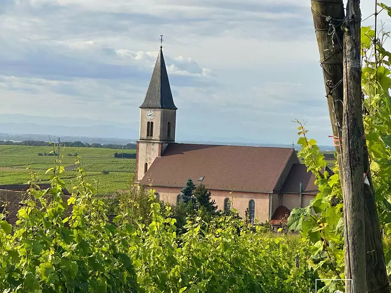 Terrain, 559 m²