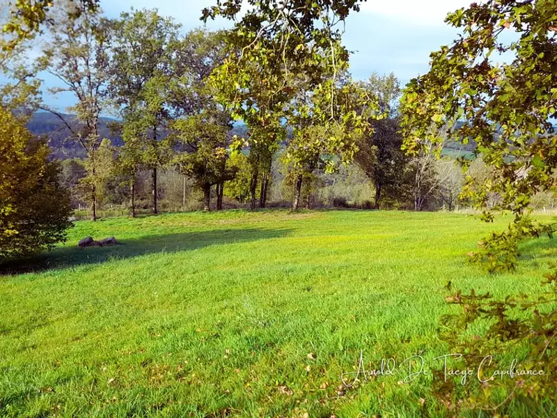 Terrain, 2 604 m²