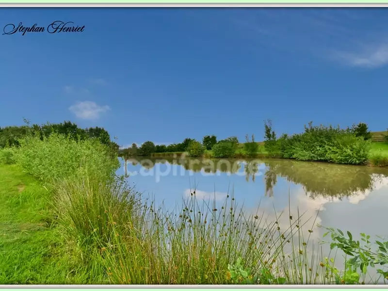 Terrain, 31 710 m²