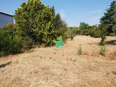 Terrain, 855 m²