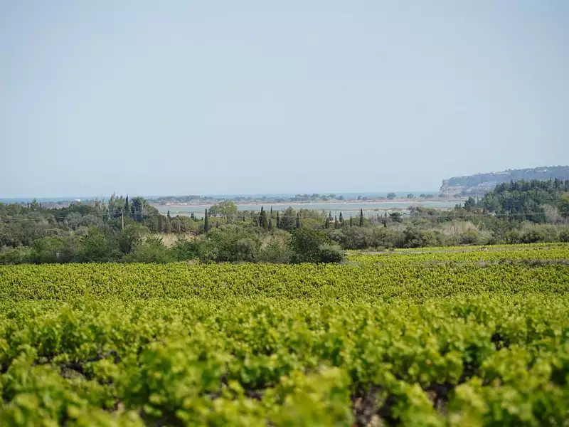 Terrain, 550 000 m²