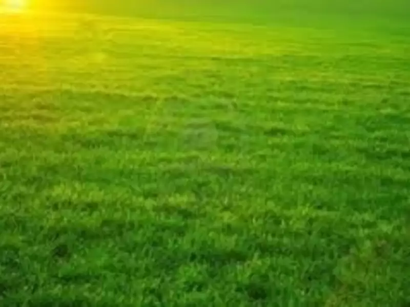 Terrain, 800 m²