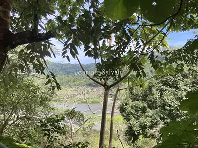 Terrain, 21 400 m²