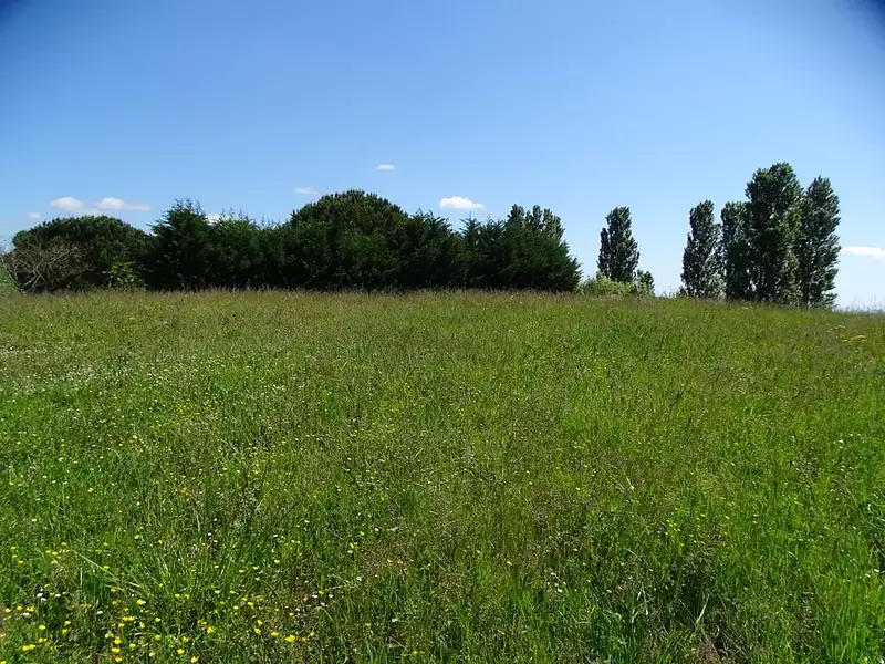 Terrain, 3 048 m²