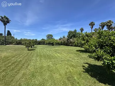 Maison, 484,84 m²