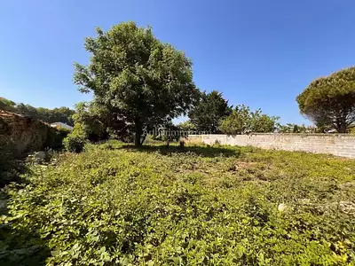 Terrain, 460 m²