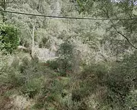 Terrain, 41 560 m²