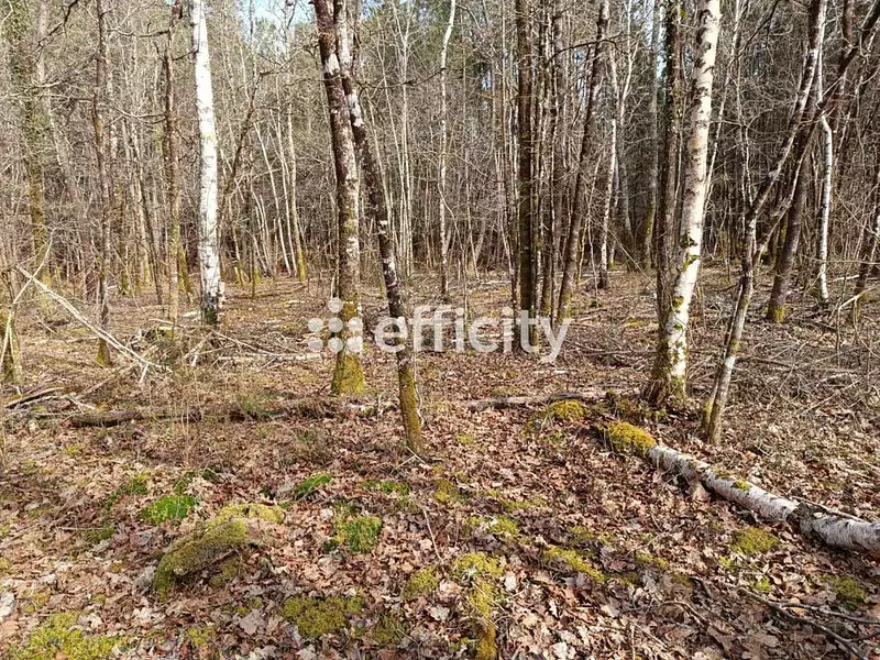 Terrain, 7 300 m²