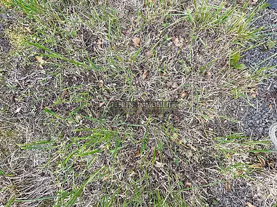 Terrain, 1 234 m²