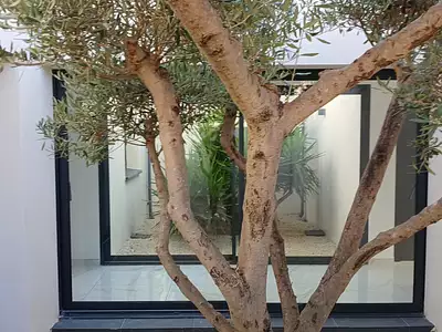 Maison, 150 m²