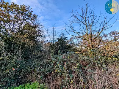 Terrain, 1 716 m²