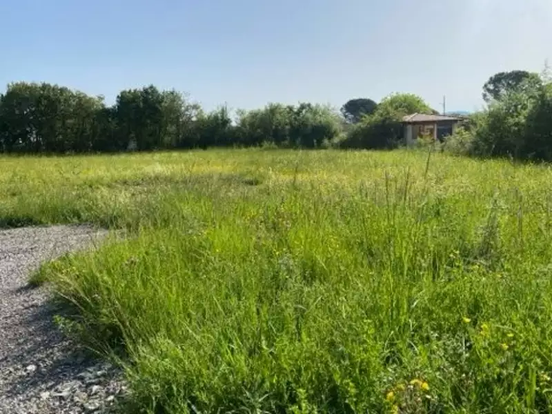 Terrain, 1 017 m²