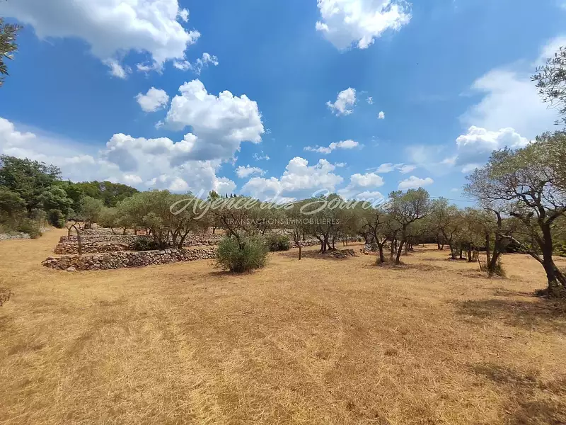 Terrain, 4 768 m²