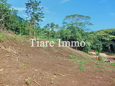 Terrain, 1 600 m²