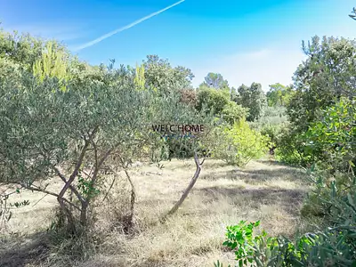 Terrain, 831 m²