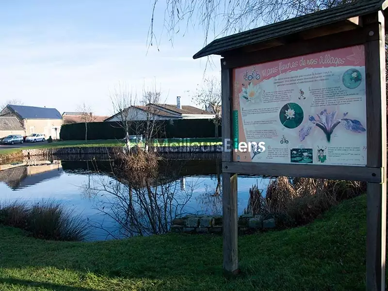 Terrain, 596 m²