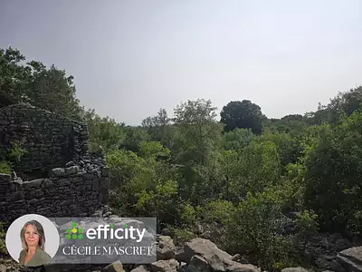 Terrain, 32 000 m²