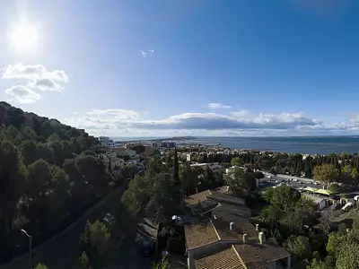 Singulière