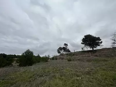 Terrain, 16 215 m²