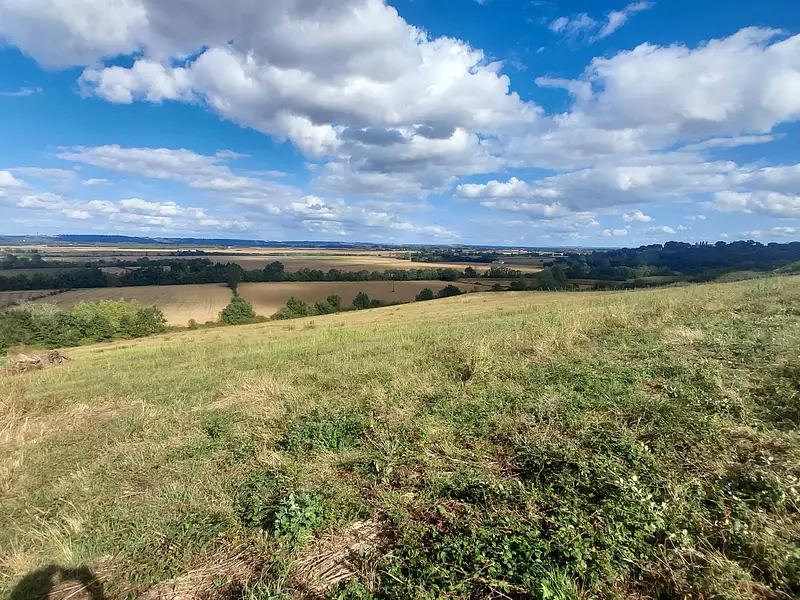Terrain, 2 440 m²