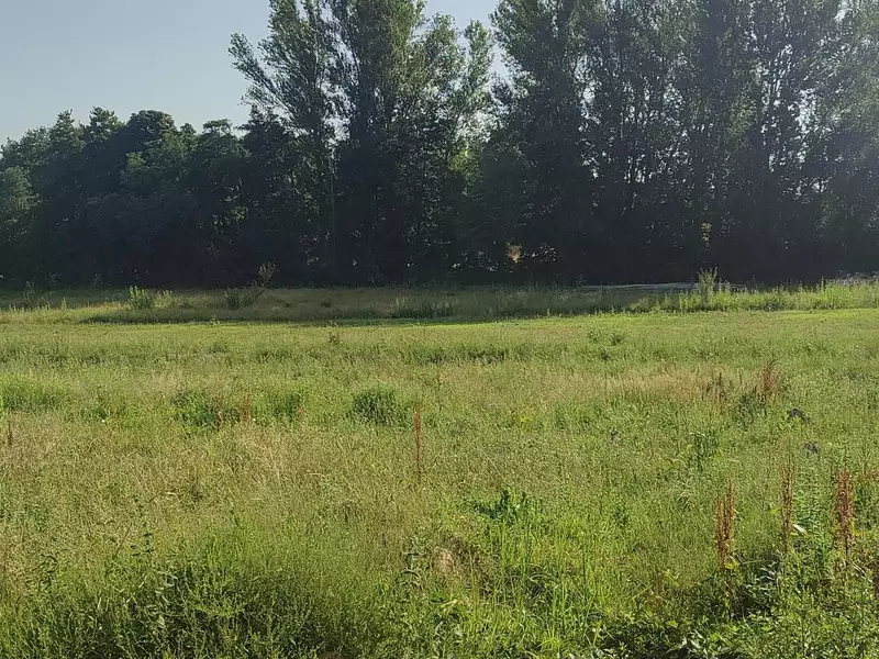 Terrain, 675 m²