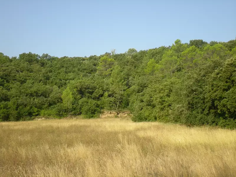 Terrain, 17 947 m²