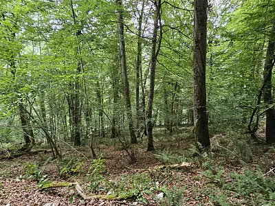 Terrain, 16 800 m²