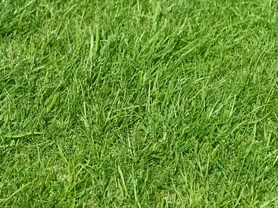 Terrain, 350 m²