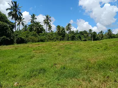 Terrain, 1 300 m²